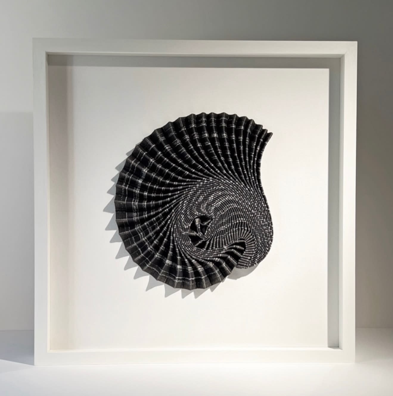 Hannah White, Ammonite Shadow: Asteroceras Curl, 2023