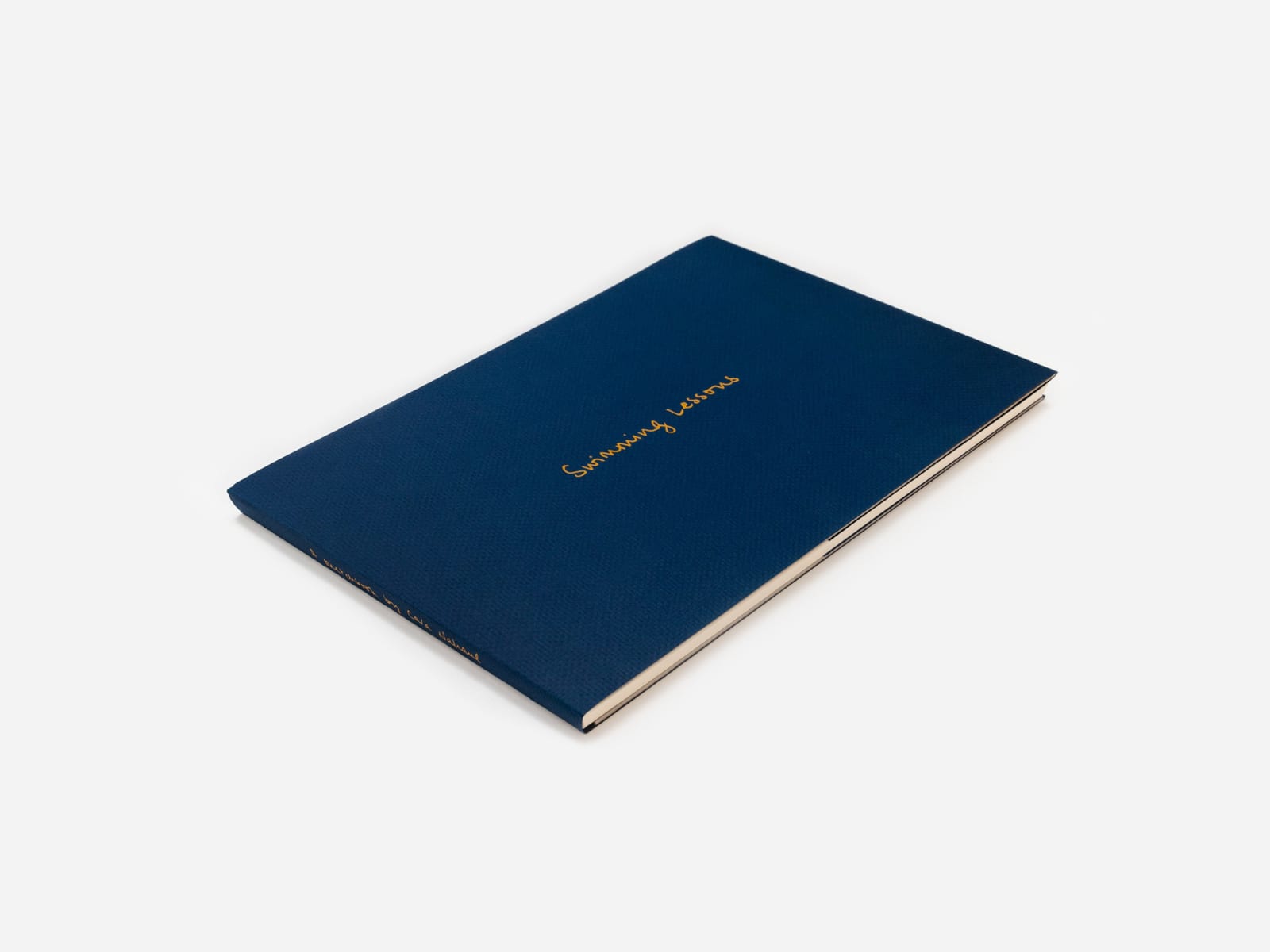 Cara Nahaul, Swimming Lessons (Book), 2022