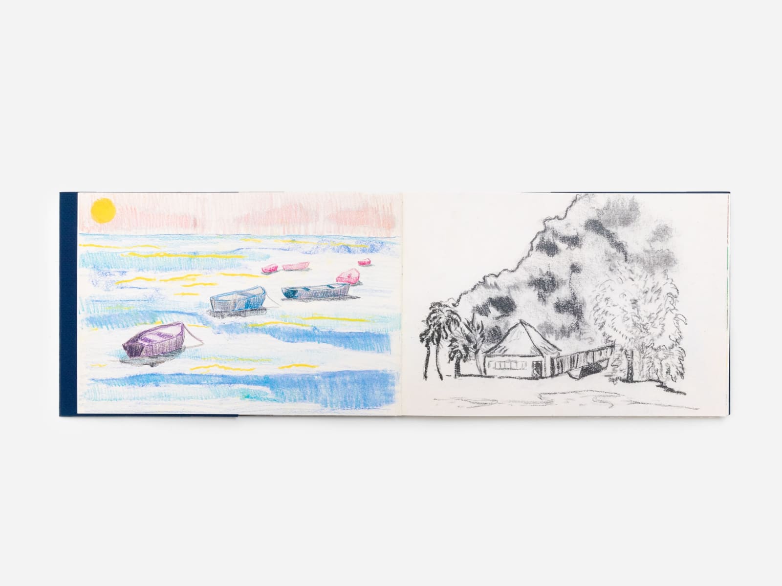 Cara Nahaul, Swimming Lessons (Book), 2022