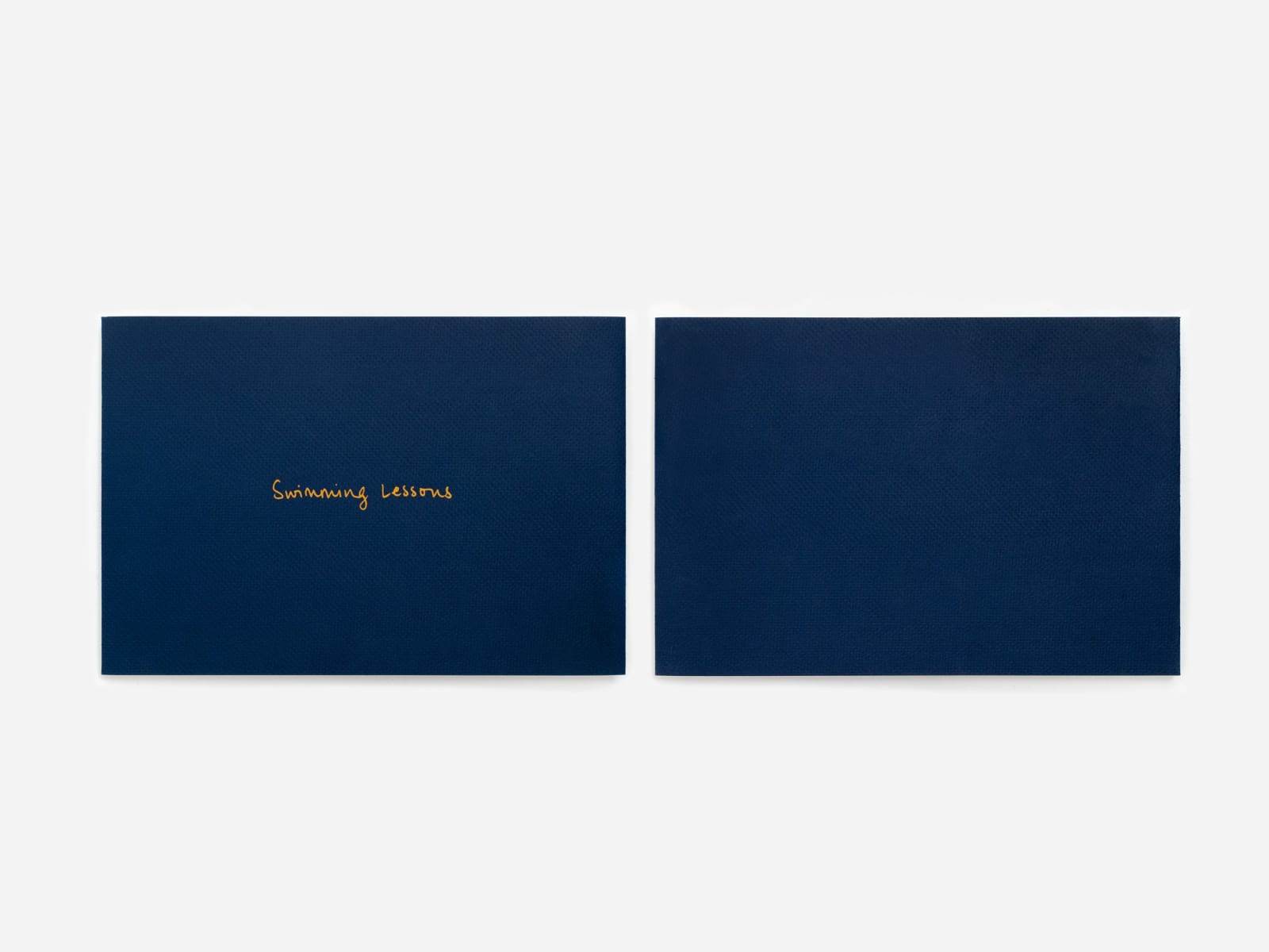 Cara Nahaul, Swimming Lessons (Book), 2022