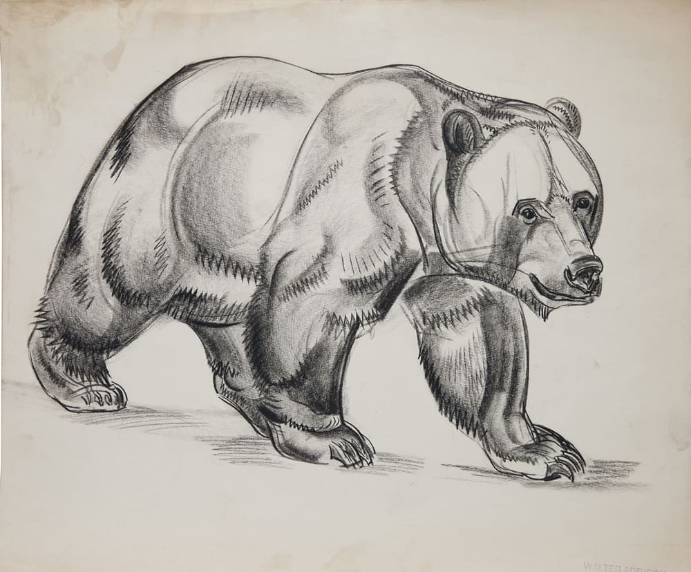Walter Addison, Bears: Walking Study