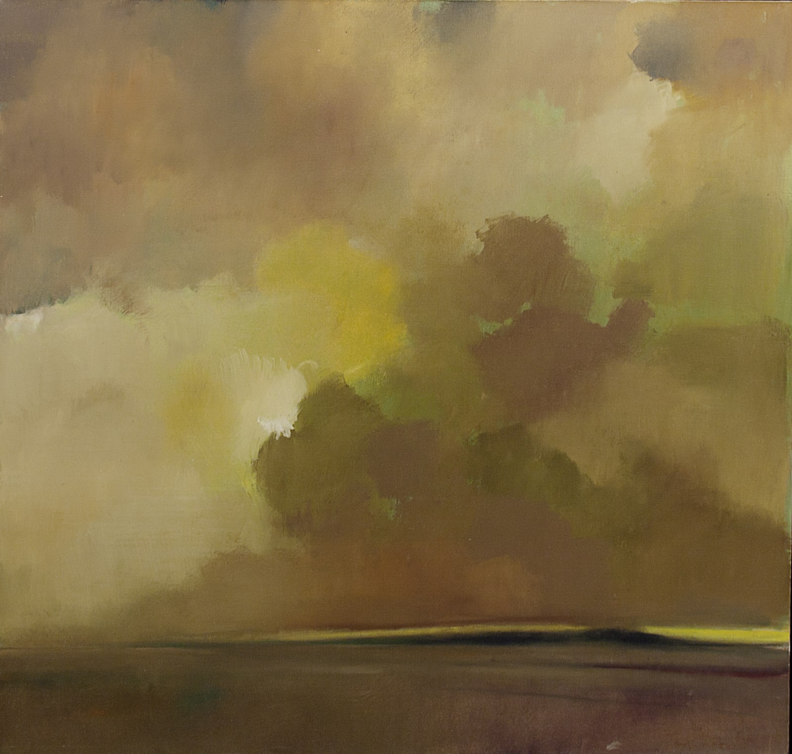 Thomas Sgouros, Remembered Landscape, 2009