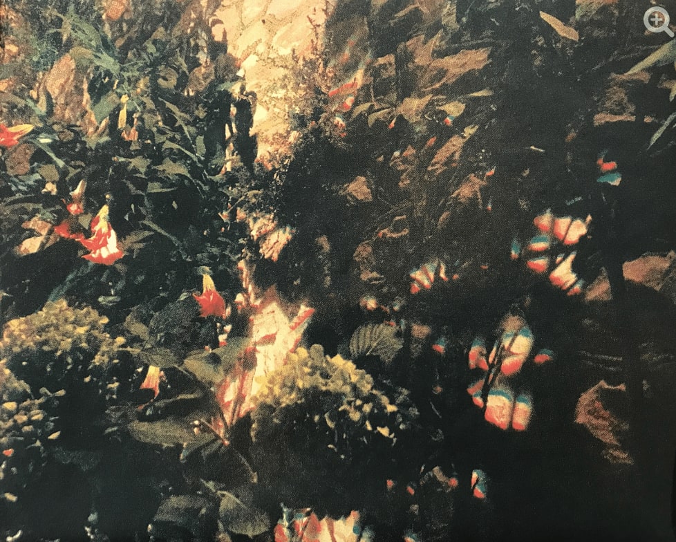 Serena Perrone, Ortensia Elettrica series: Ortensia Prismatica, 2019