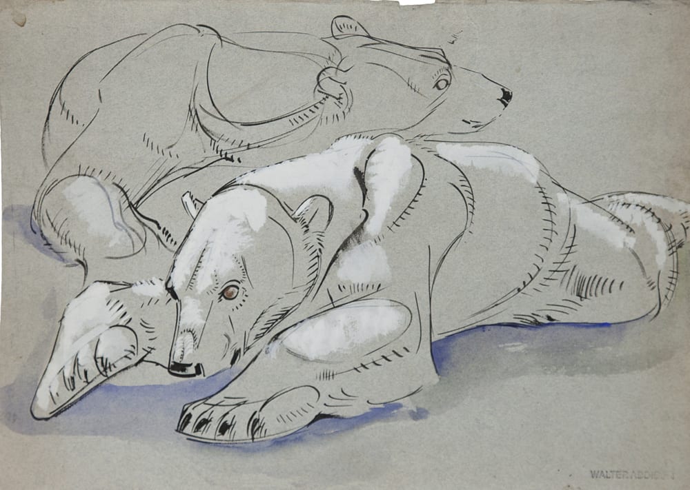 Walter Addison, Bears: Polar Bear Study