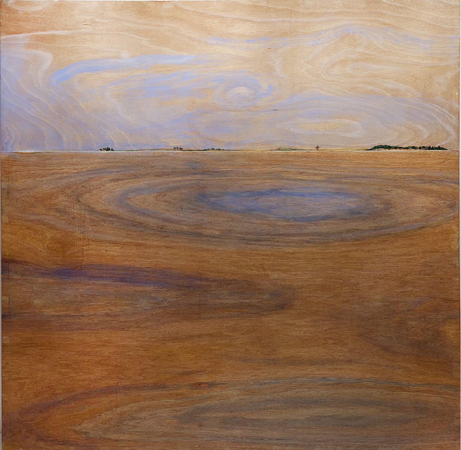 Donnamaria Bruton, Untitled Landscape I, 2008-10