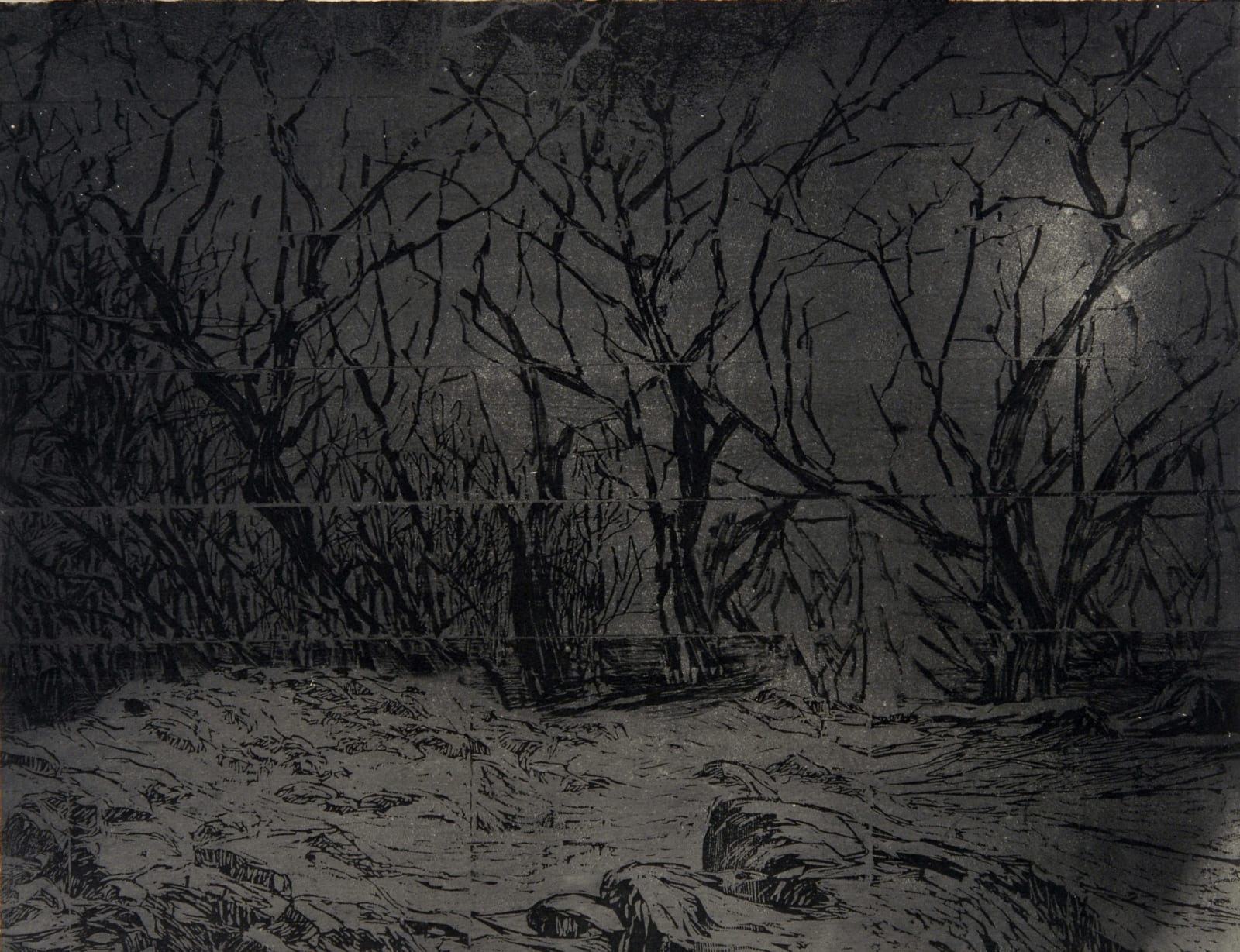 Orit Hofshi, Mist, 2010