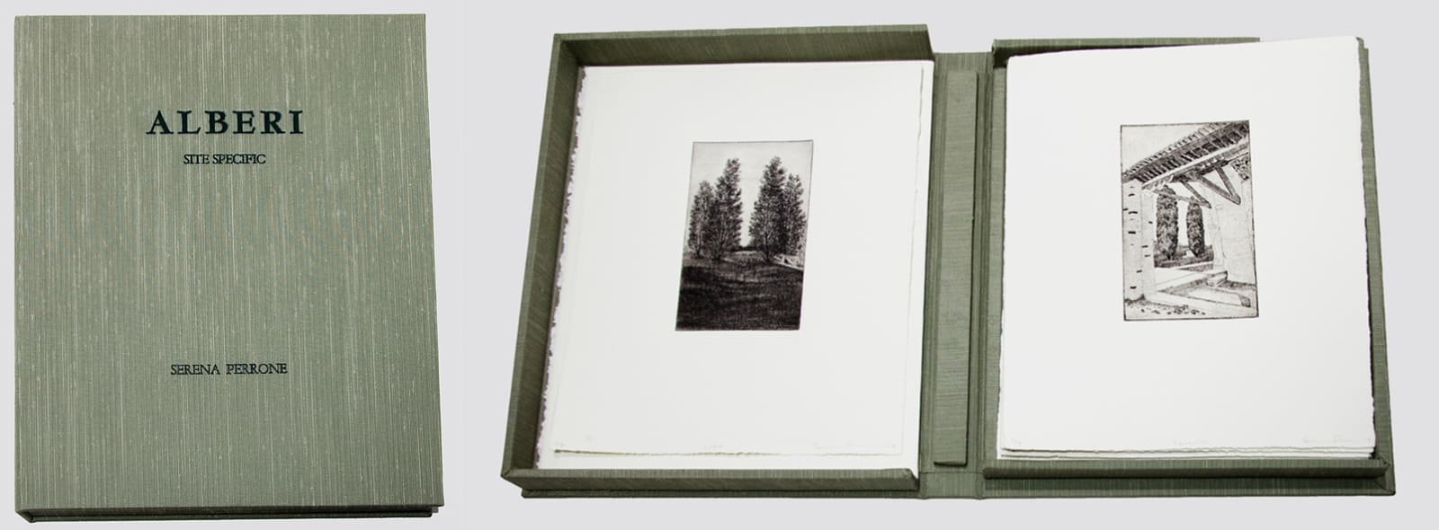 Serena Perrone, Alberi: Site Specific Portfolio, 2014-15