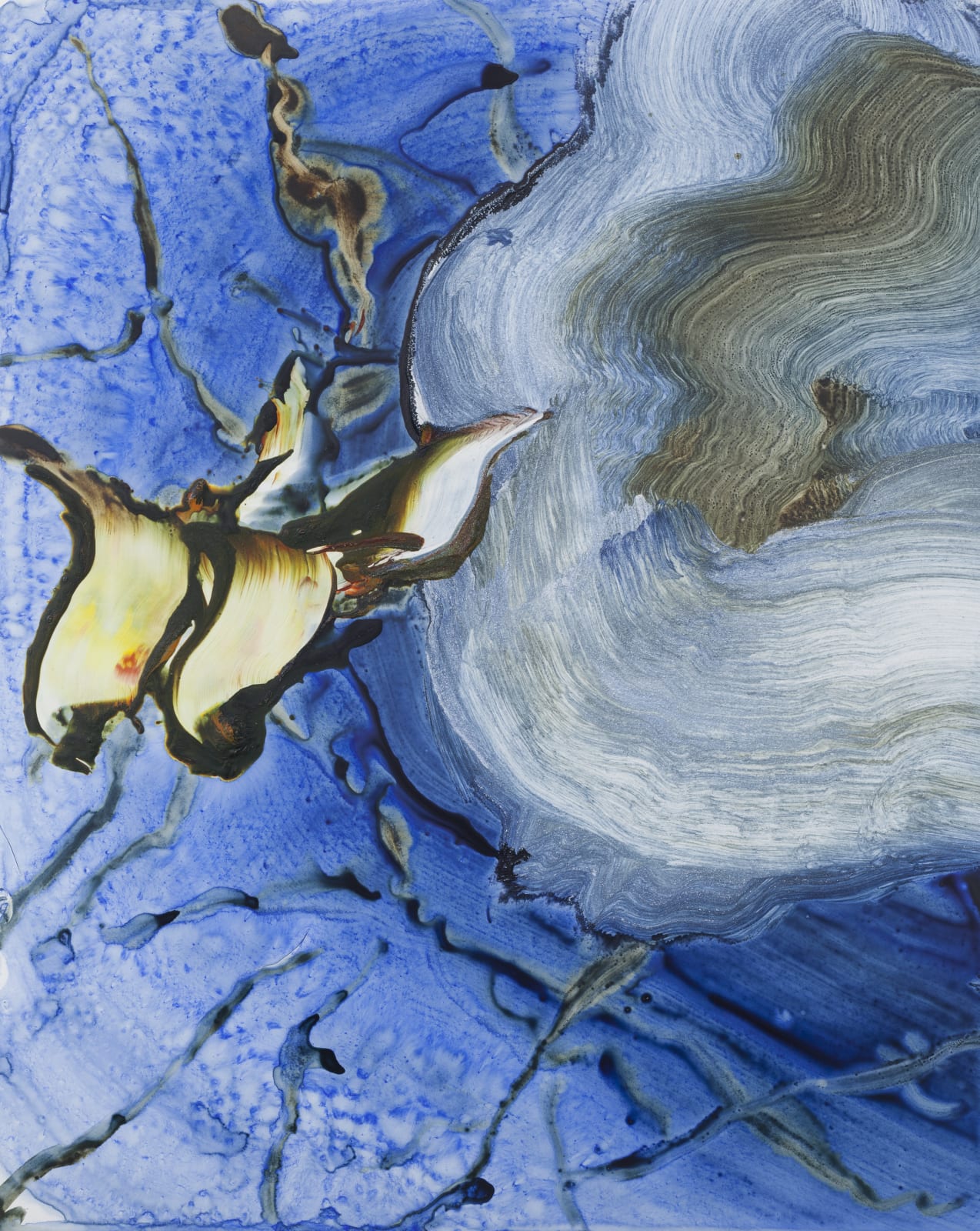 Ilana Manolson, Early ice