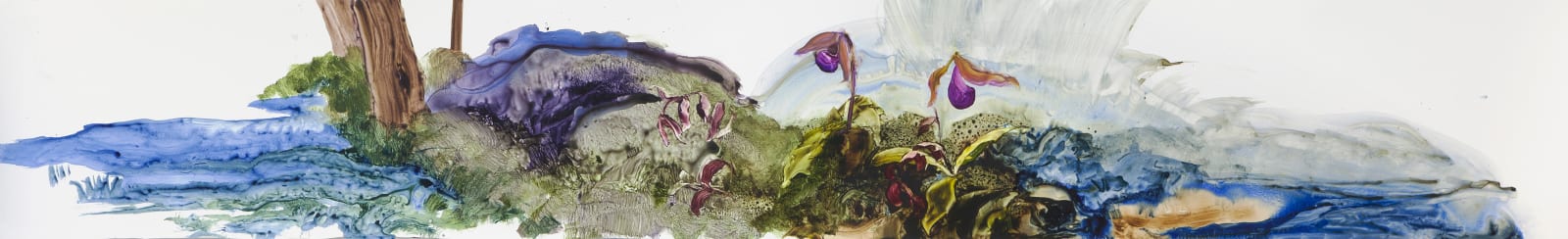 Ilana Manolson, Lady Slipper Story