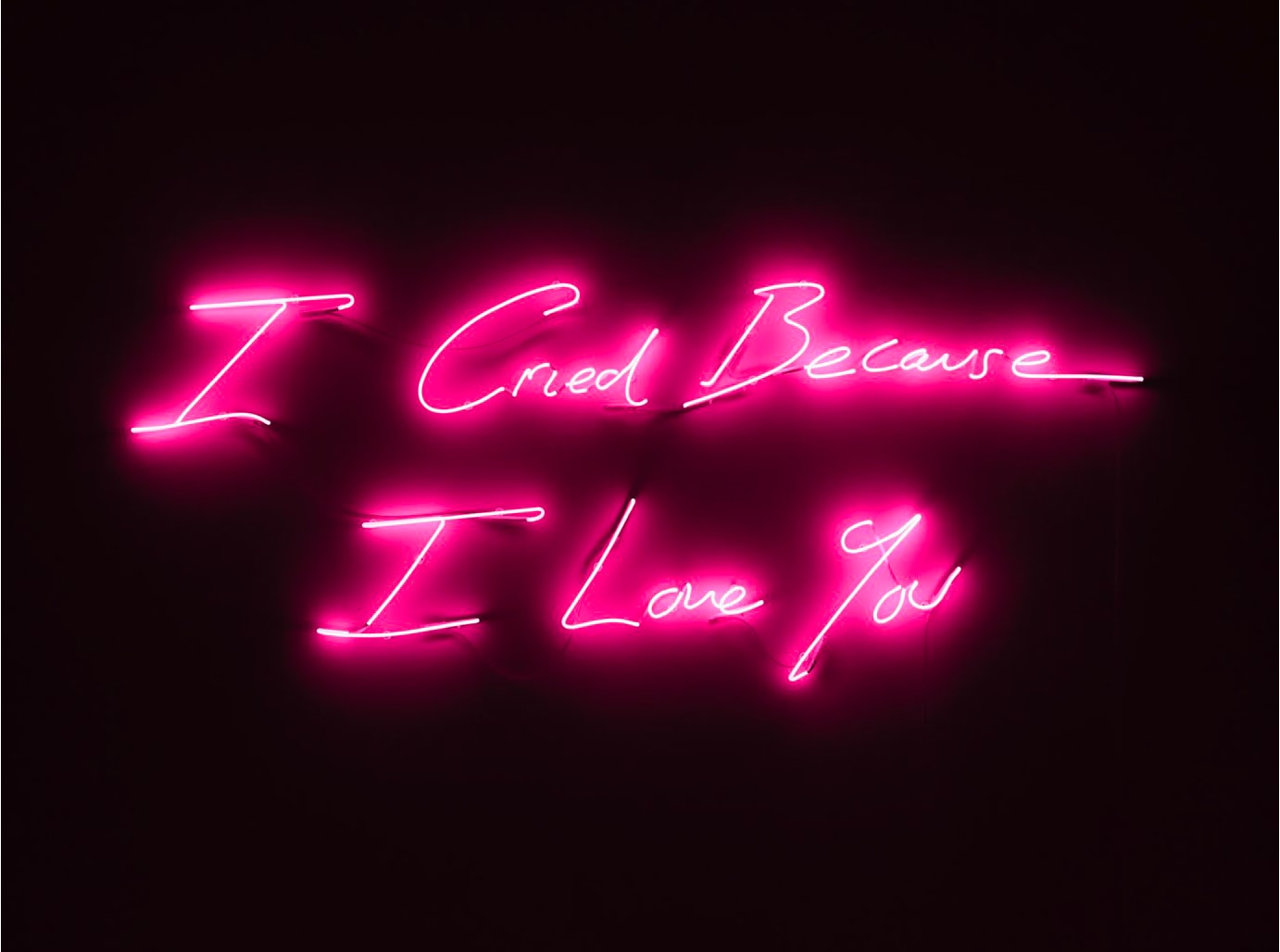 Tracey Emin, I Cried Because I Love You, 2016