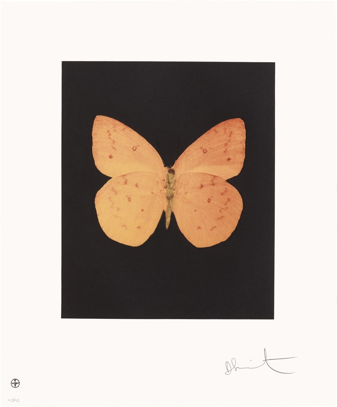 Damien Hirst, Prosperity, 2009