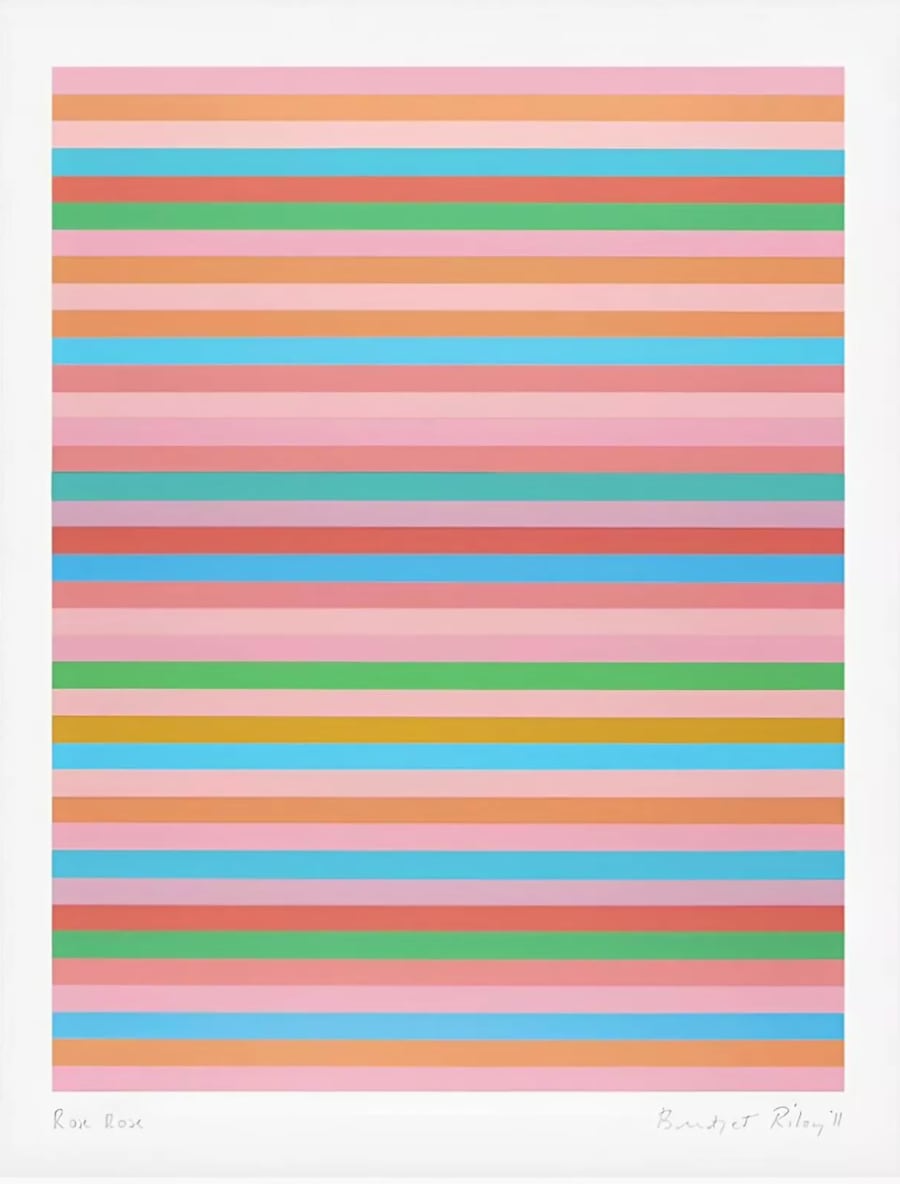 Bridget Riley, Rose Rose, 2011