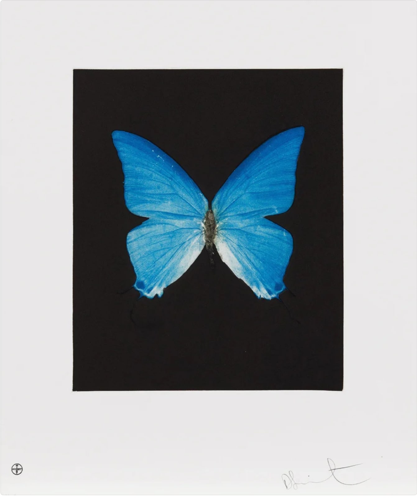 Damien Hirst, Providence, 2009