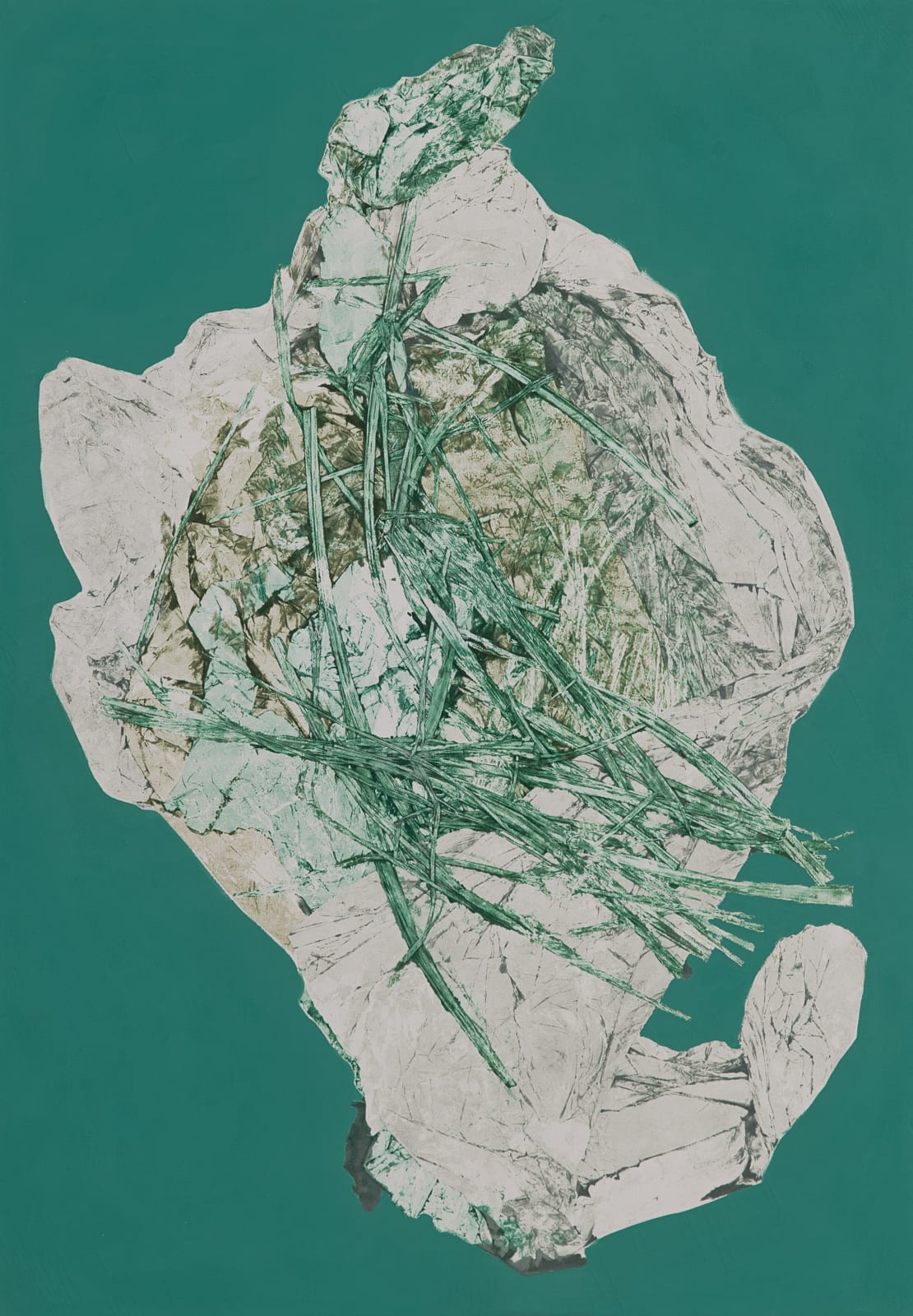 Ross Passmoor, Cornucopia, 2024