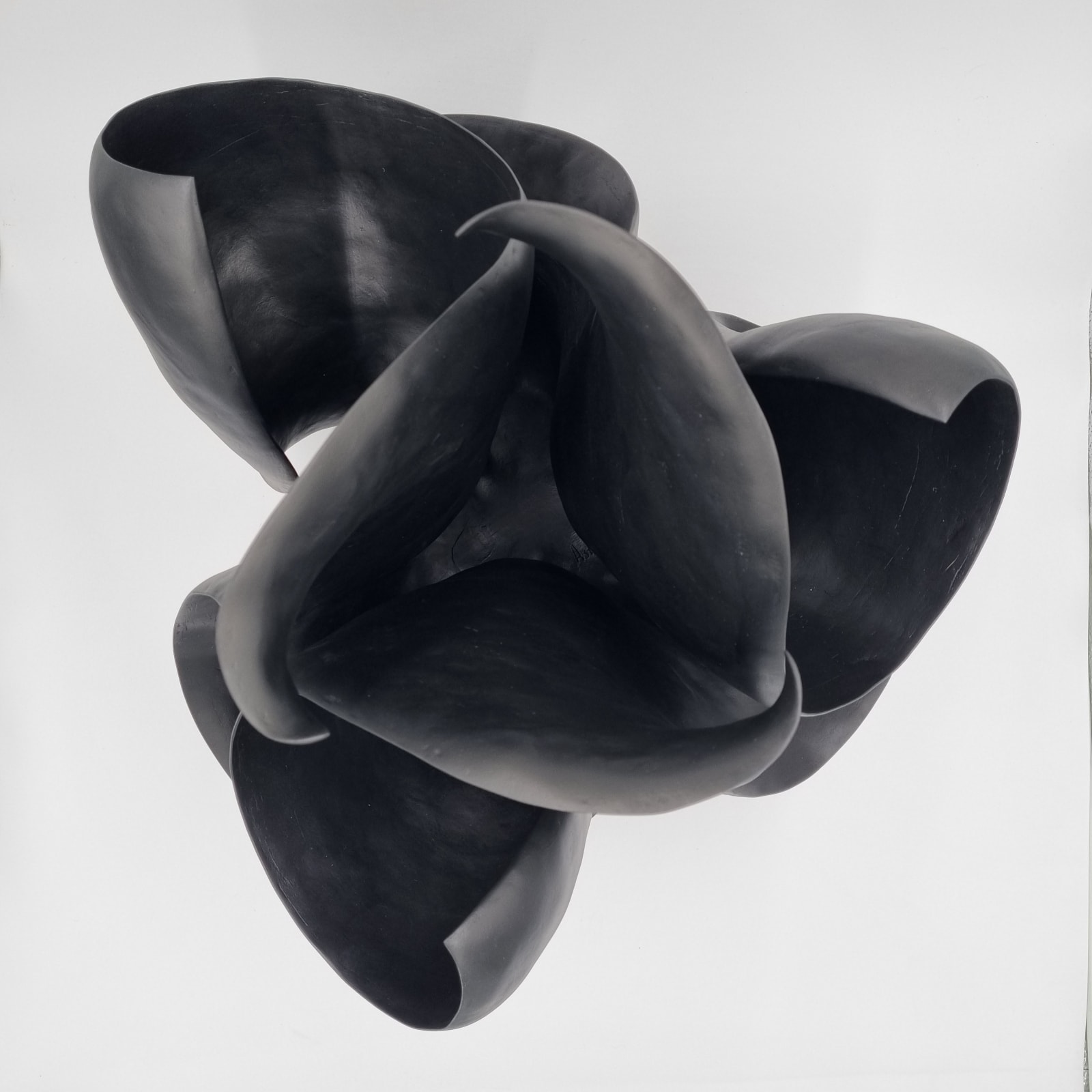 Astrid Dahl, Thatcheria Mirabillis Black, 2023