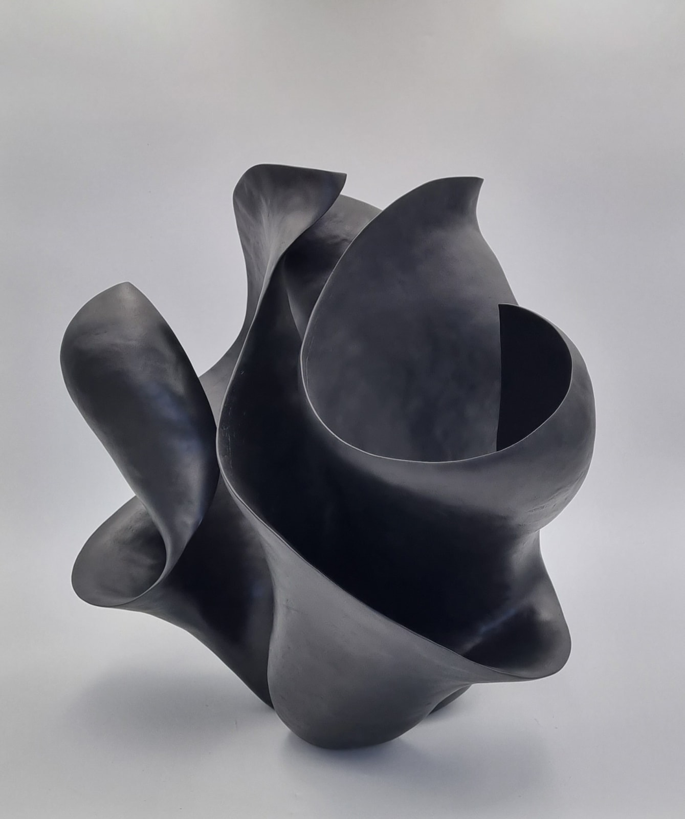 Astrid Dahl, Thatcheria Mirabillis Black, 2023