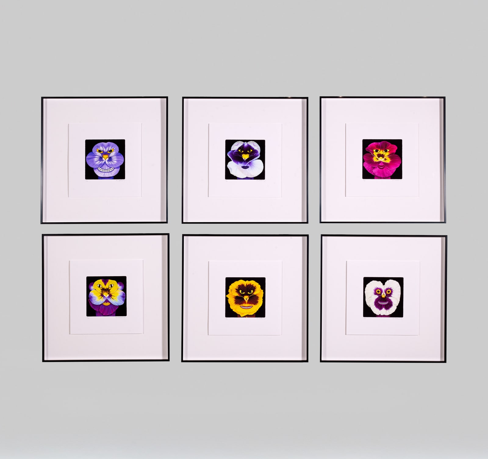 Norman Catherine, Pansy Power , 2022