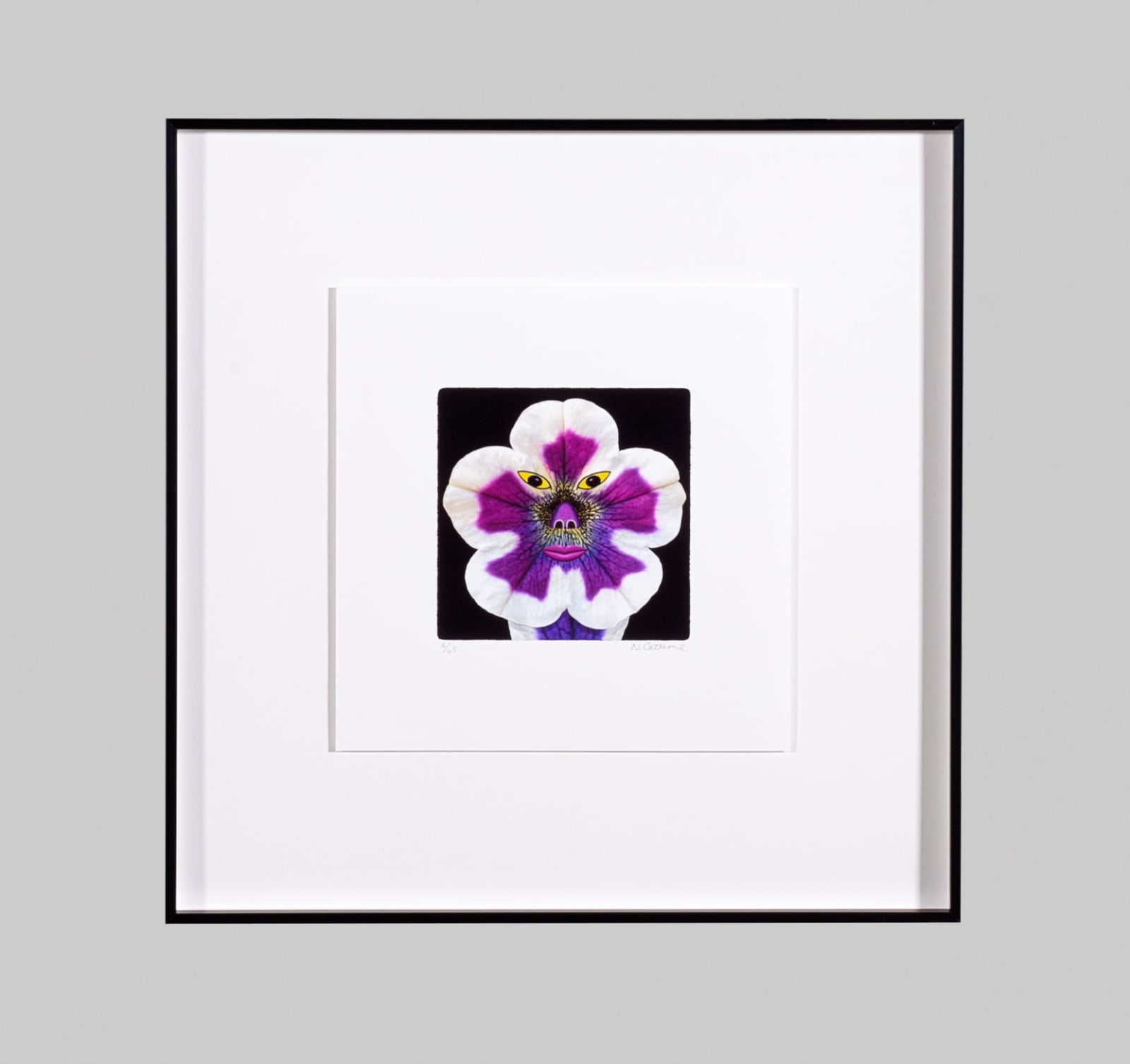 Norman Catherine, Flower Power, 2022