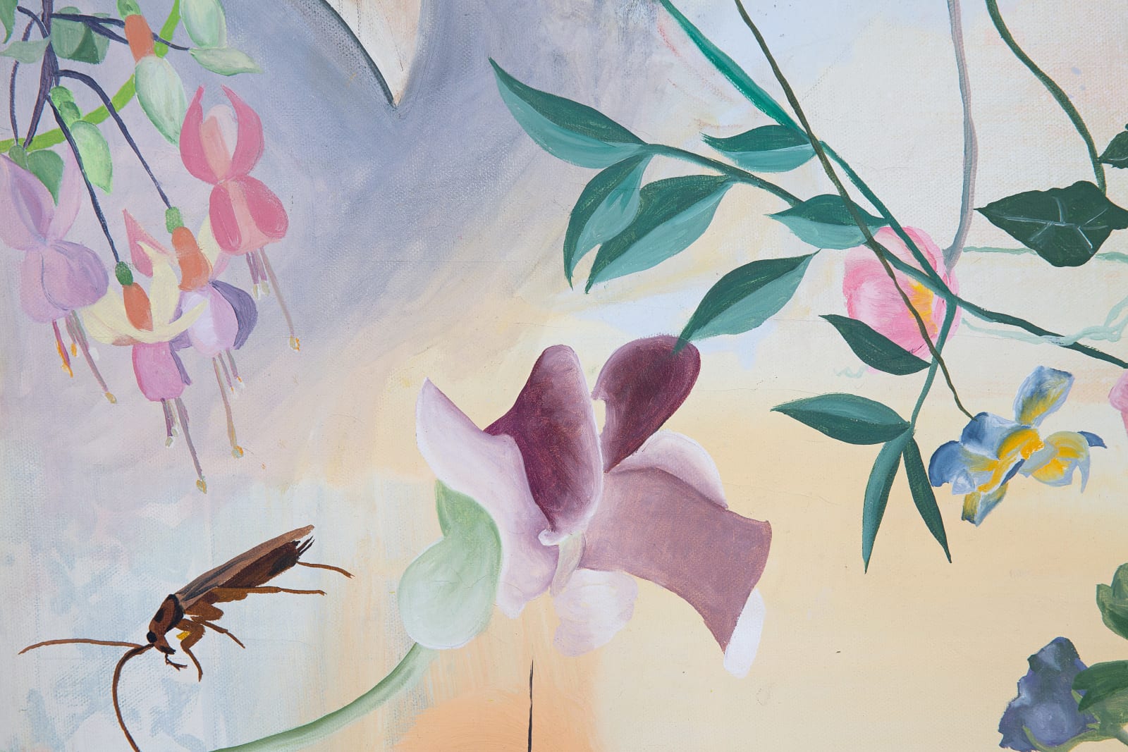 Helen Joseph, Inside Story, 2024