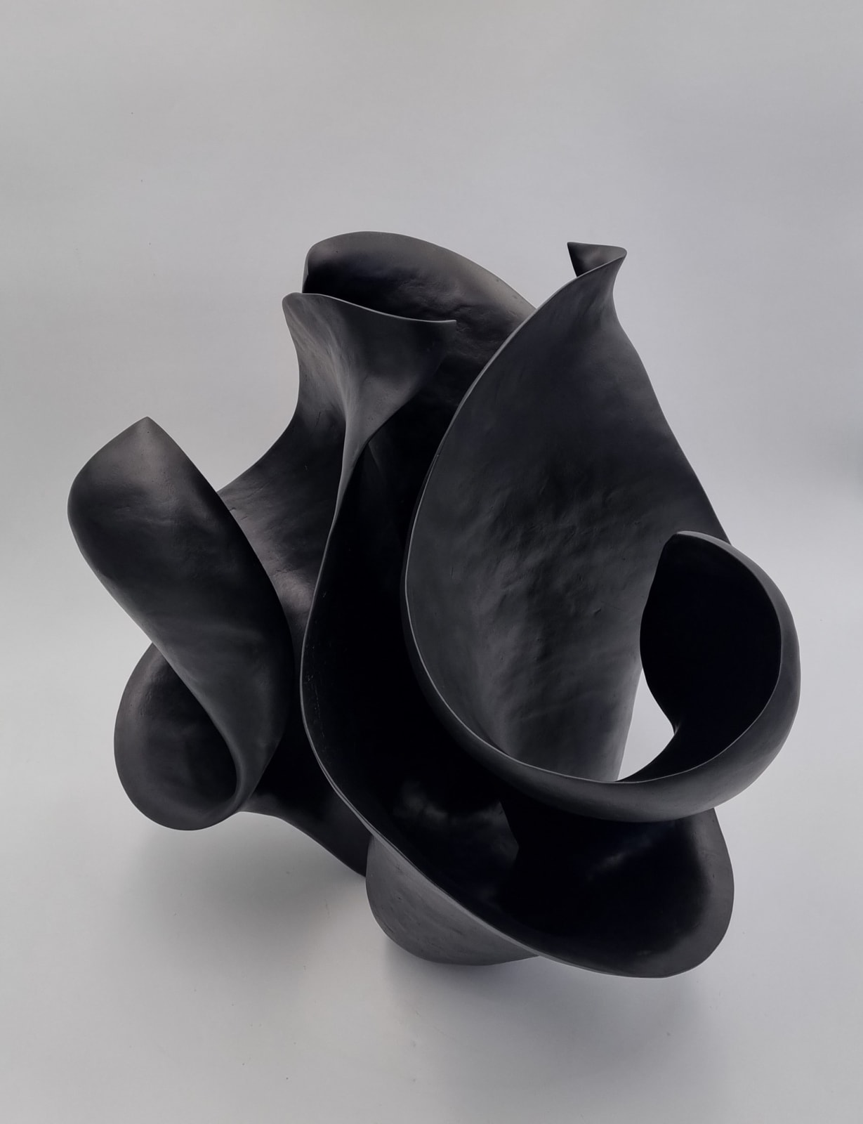 Astrid Dahl, Thatcheria Mirabillis Black, 2023