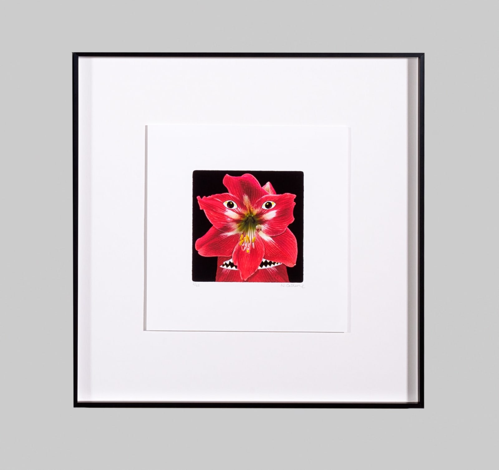 Norman Catherine, Flower Power, 2022