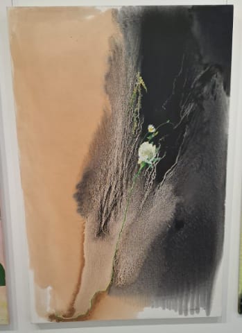 Helen Joseph, Desert Bloom, 2025