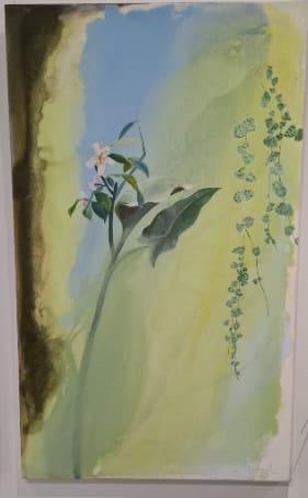 Helen Joseph, Floral with creepers, 2025