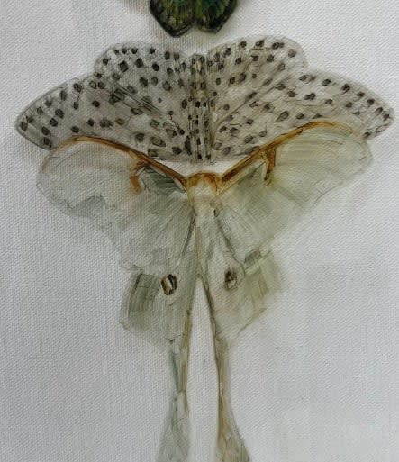 Ingrid Uys, Precious little things IX, 2025