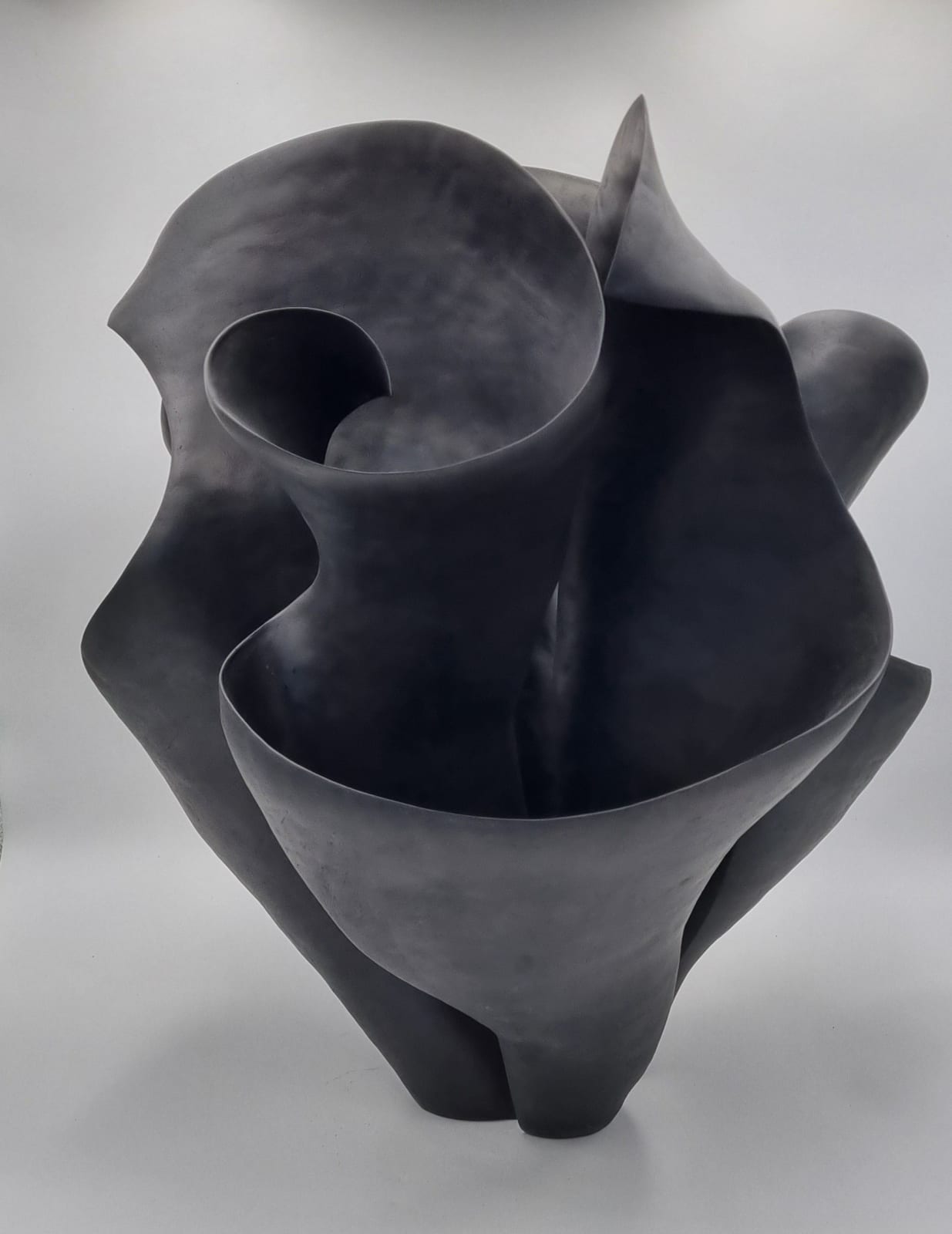 Astrid Dahl, Trio of Thatcheria Mirabilis (black), 2024