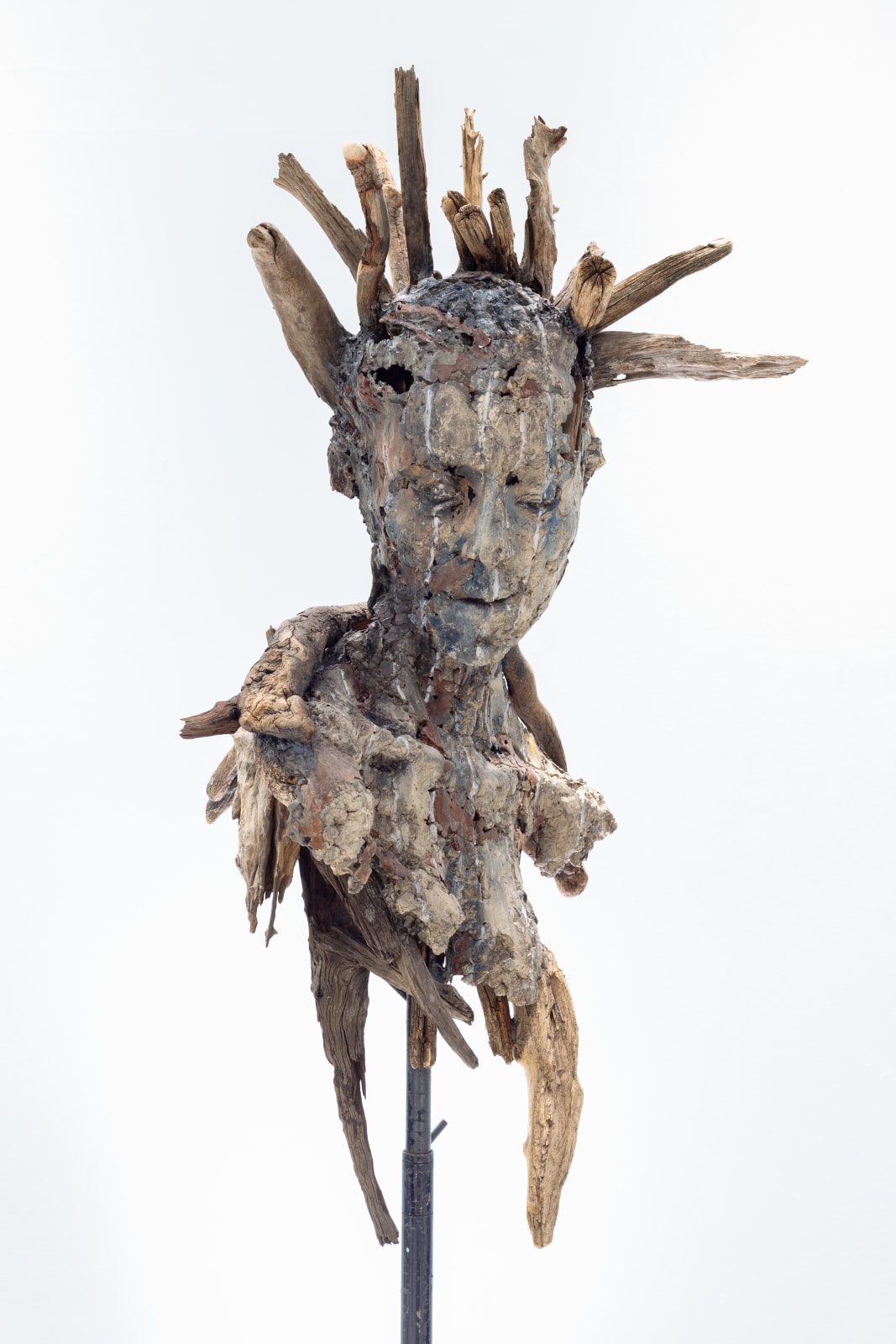 Sandro Trapani, Dolorem IV, 2023