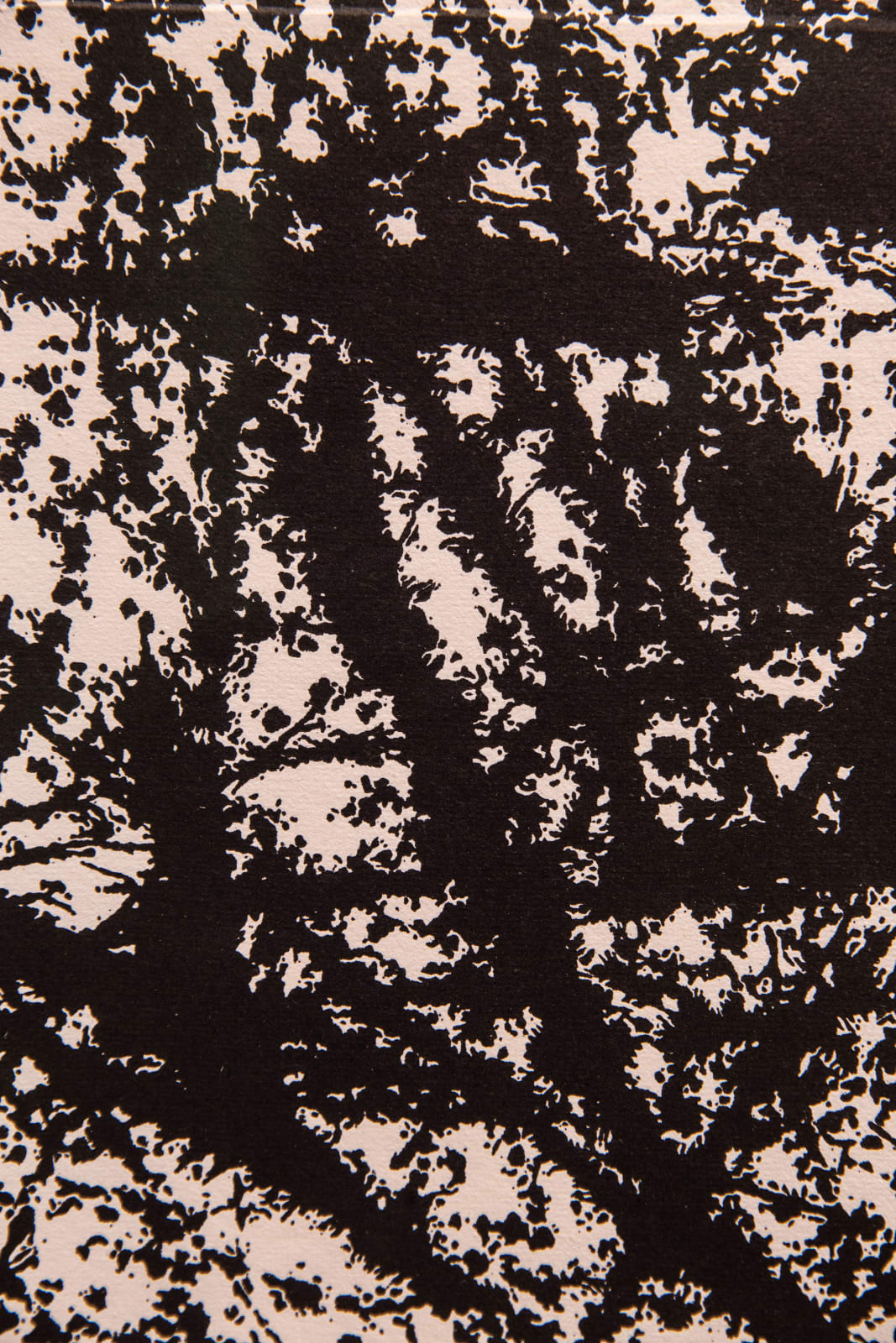 William Kentridge, Colour Chart I, 2012