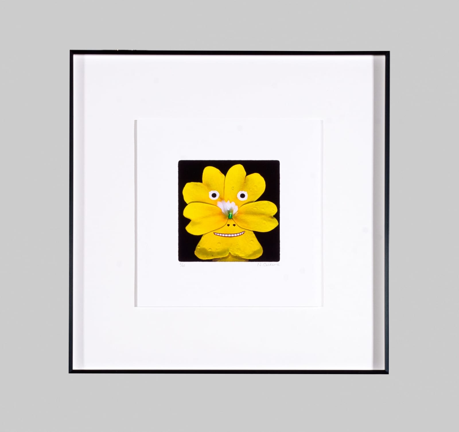 Norman Catherine, Flower Power, 2022