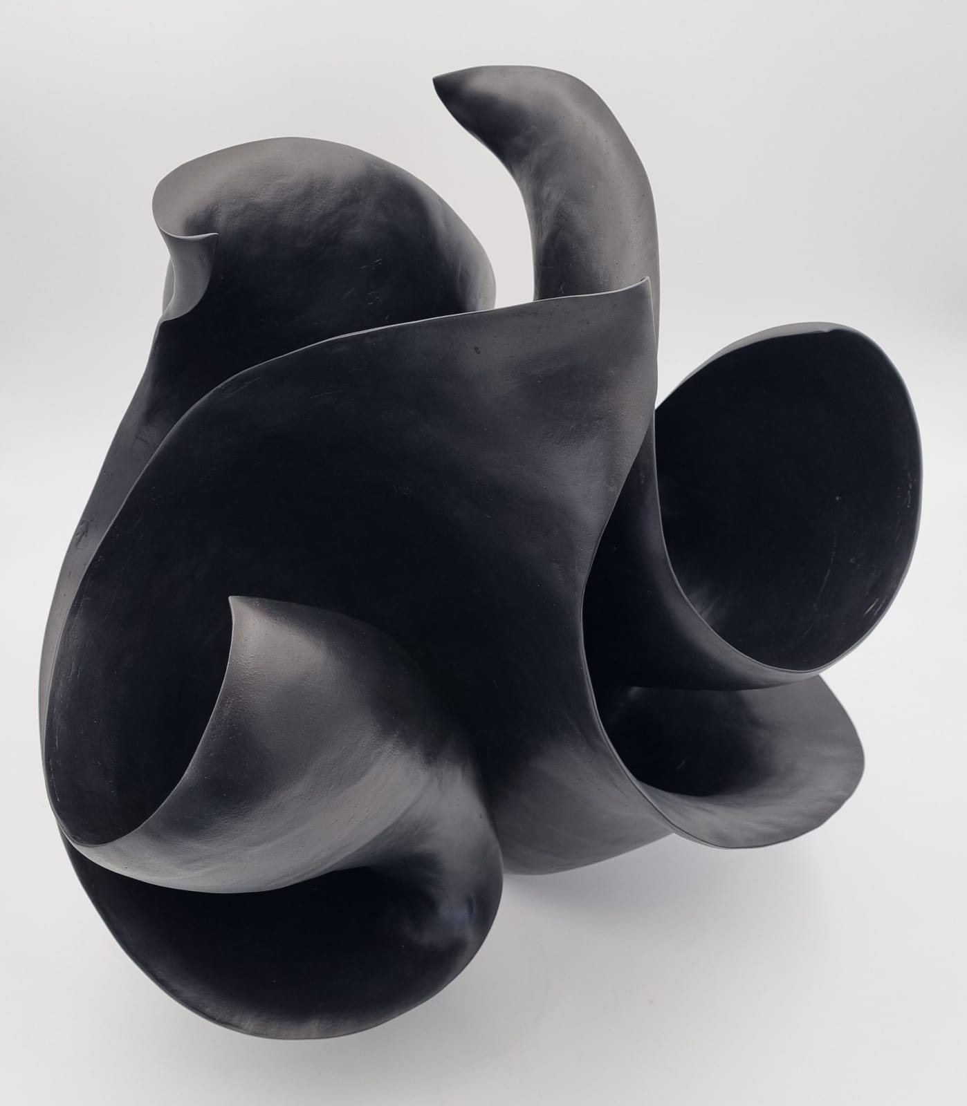 Astrid Dahl, Thatcheria Mirabillis Black, 2023