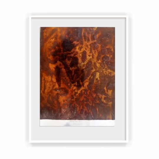 Barbara Schroeder, Rêves de Feu, 2019