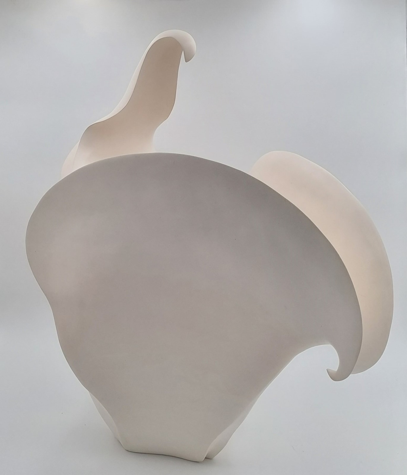 Astrid Dahl, Spider orchid white, 2023