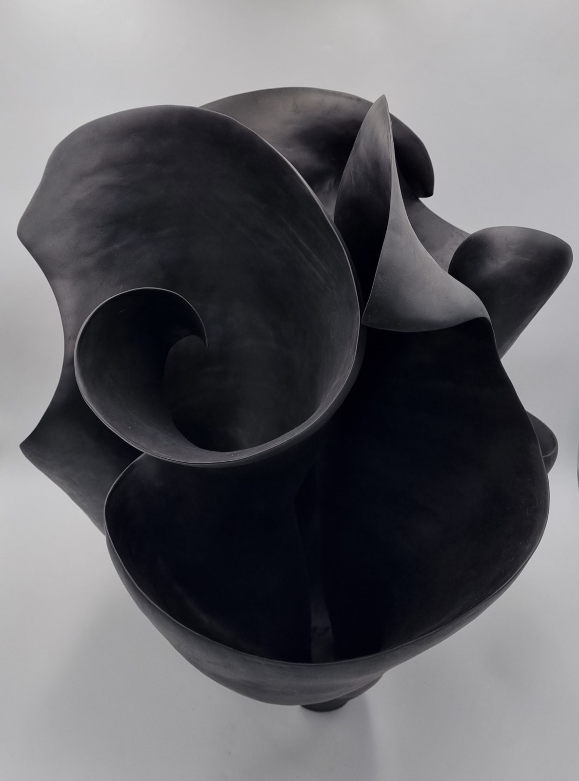 Astrid Dahl, Trio of Thatcheria Mirabilis (black), 2024