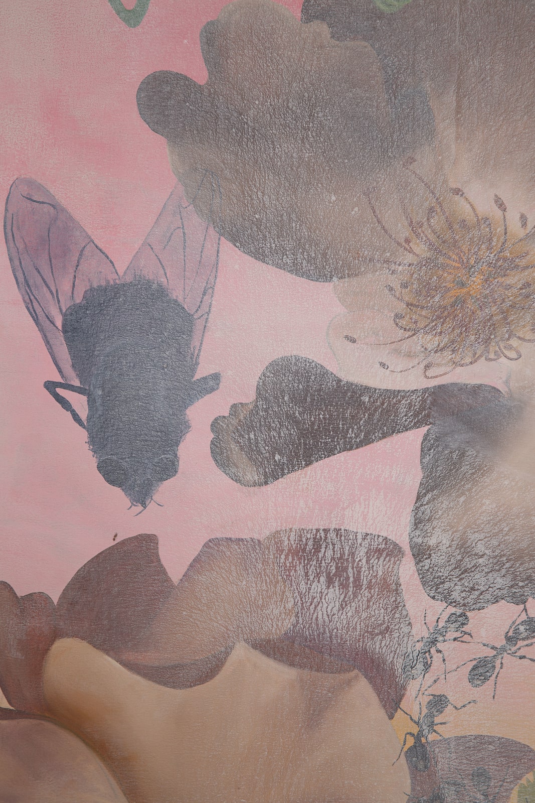 Helen Joseph, Petal presence, 2023