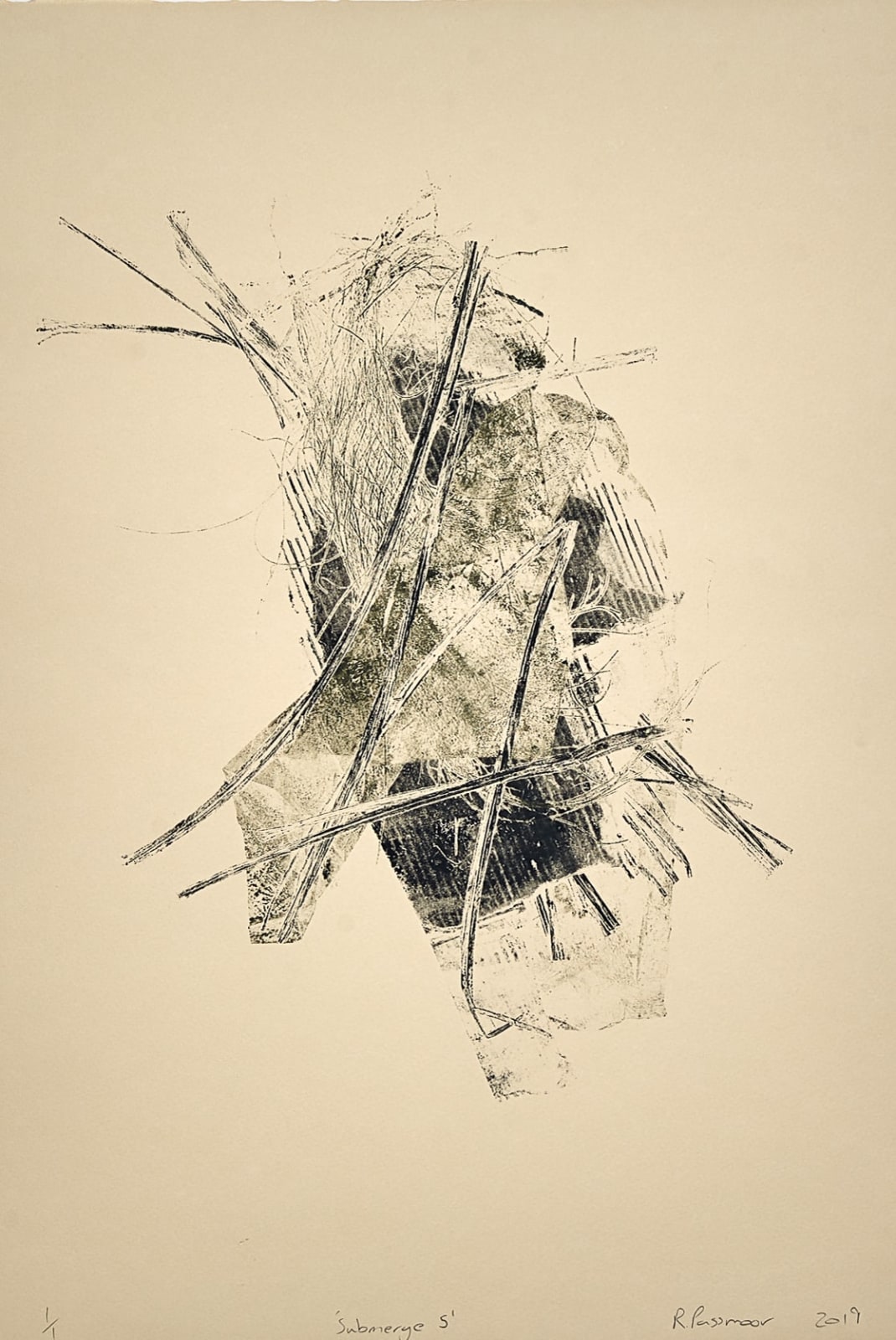 Ross Passmoor, Submerge 5, 2019