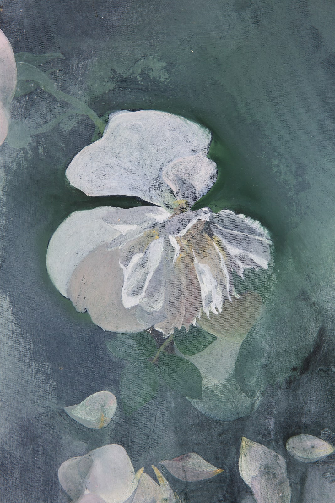 Helen Joseph, Moonlight Bloom, 2024
