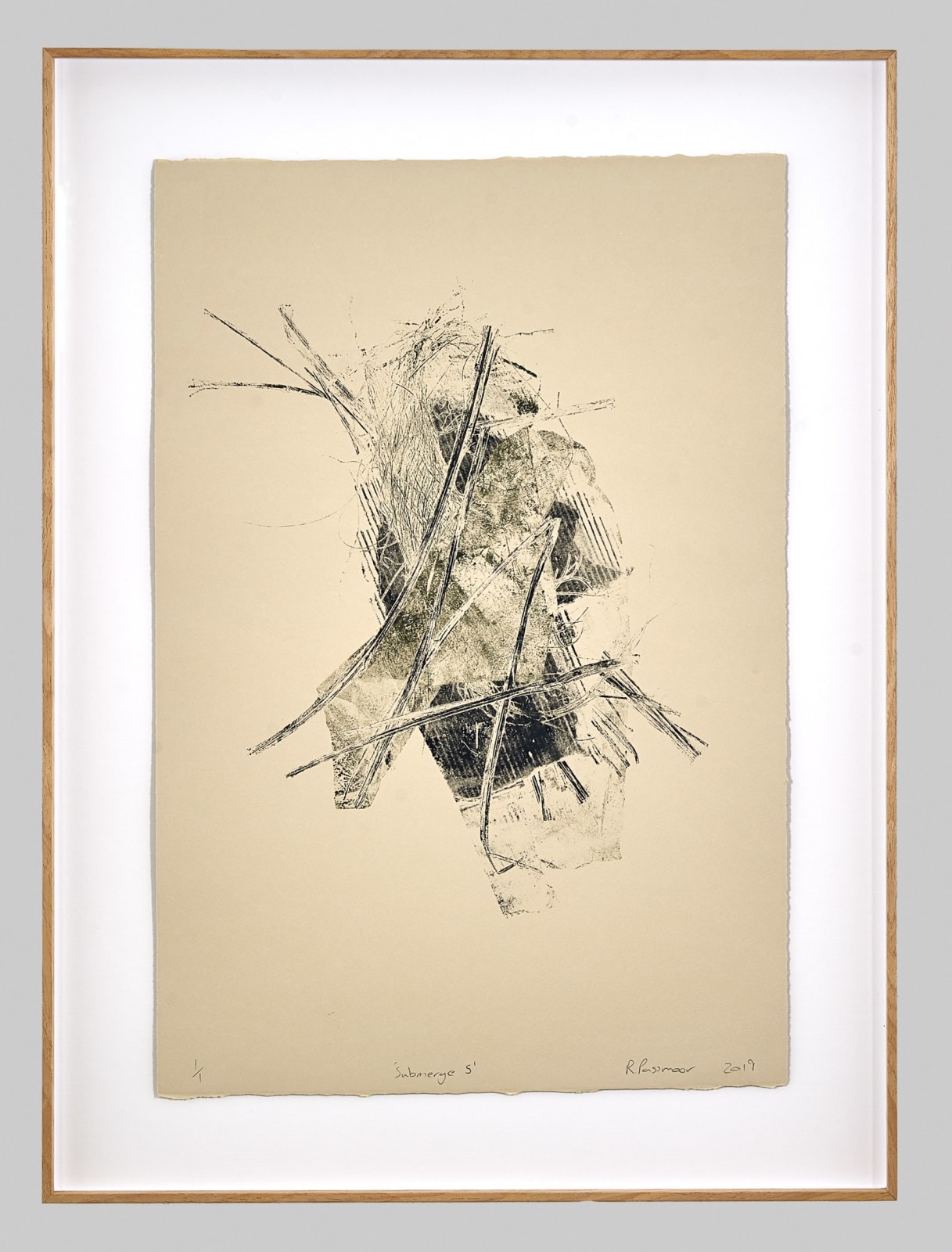 Ross Passmoor, Submerge 5, 2019