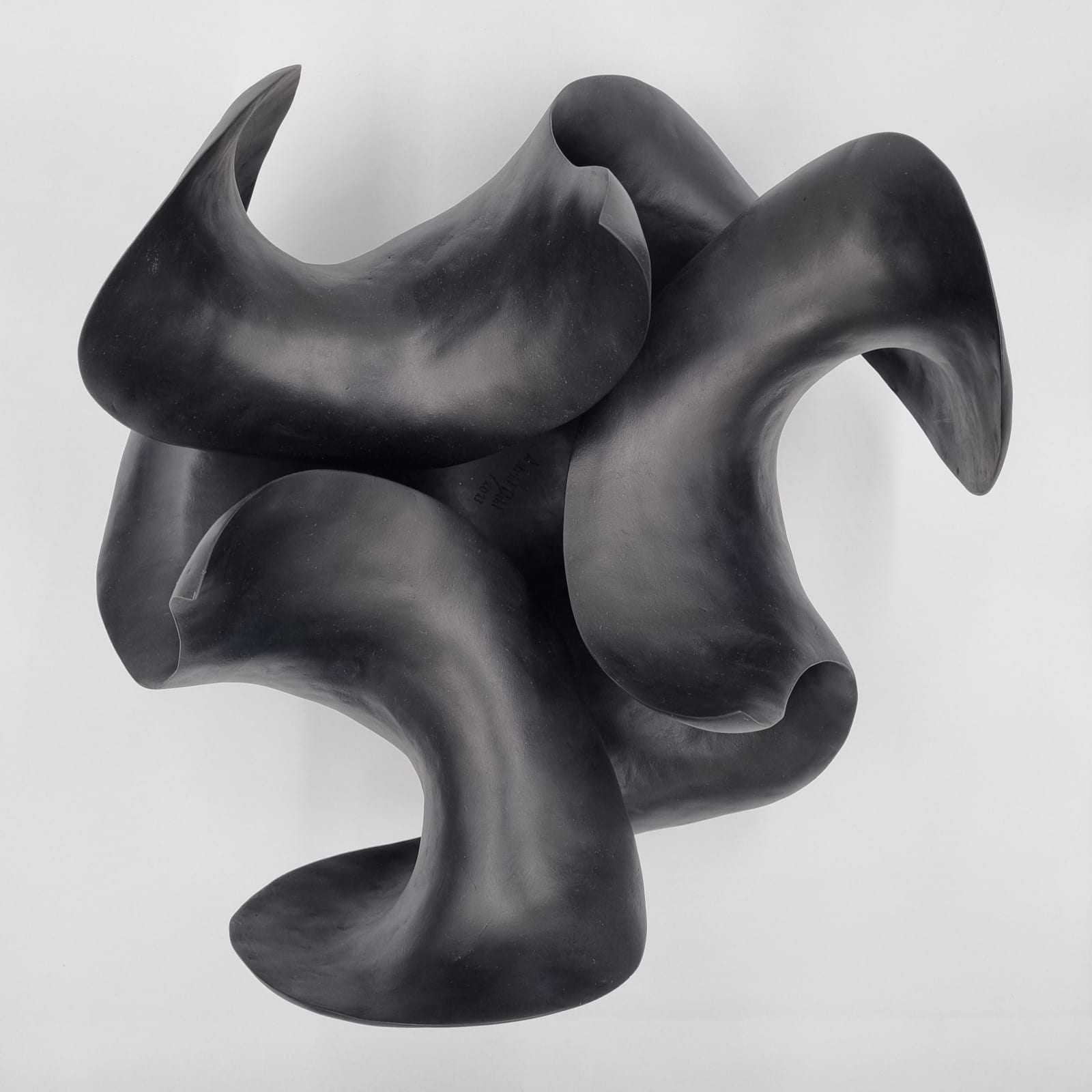 Astrid Dahl, Black Acacia II, 2023