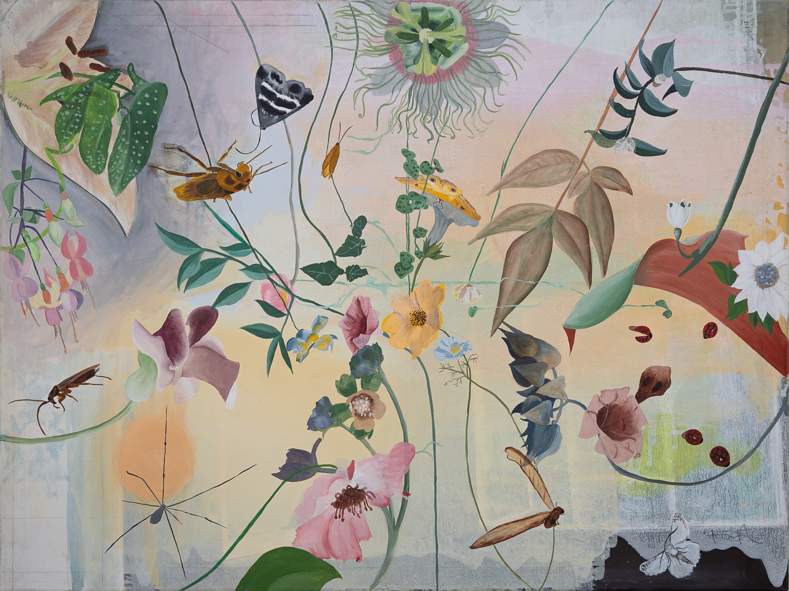 Helen Joseph, Inside Story, 2024
