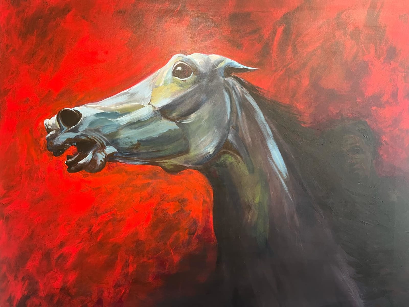 Anne Cakebread, Flight for Life