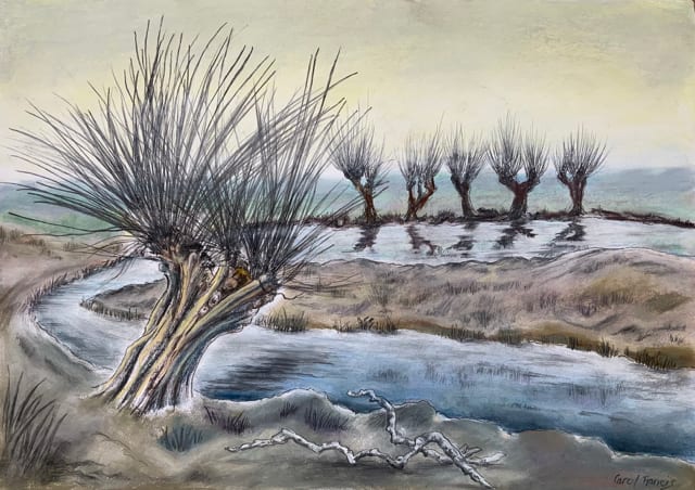 Carol Francis, Pollarded Willows