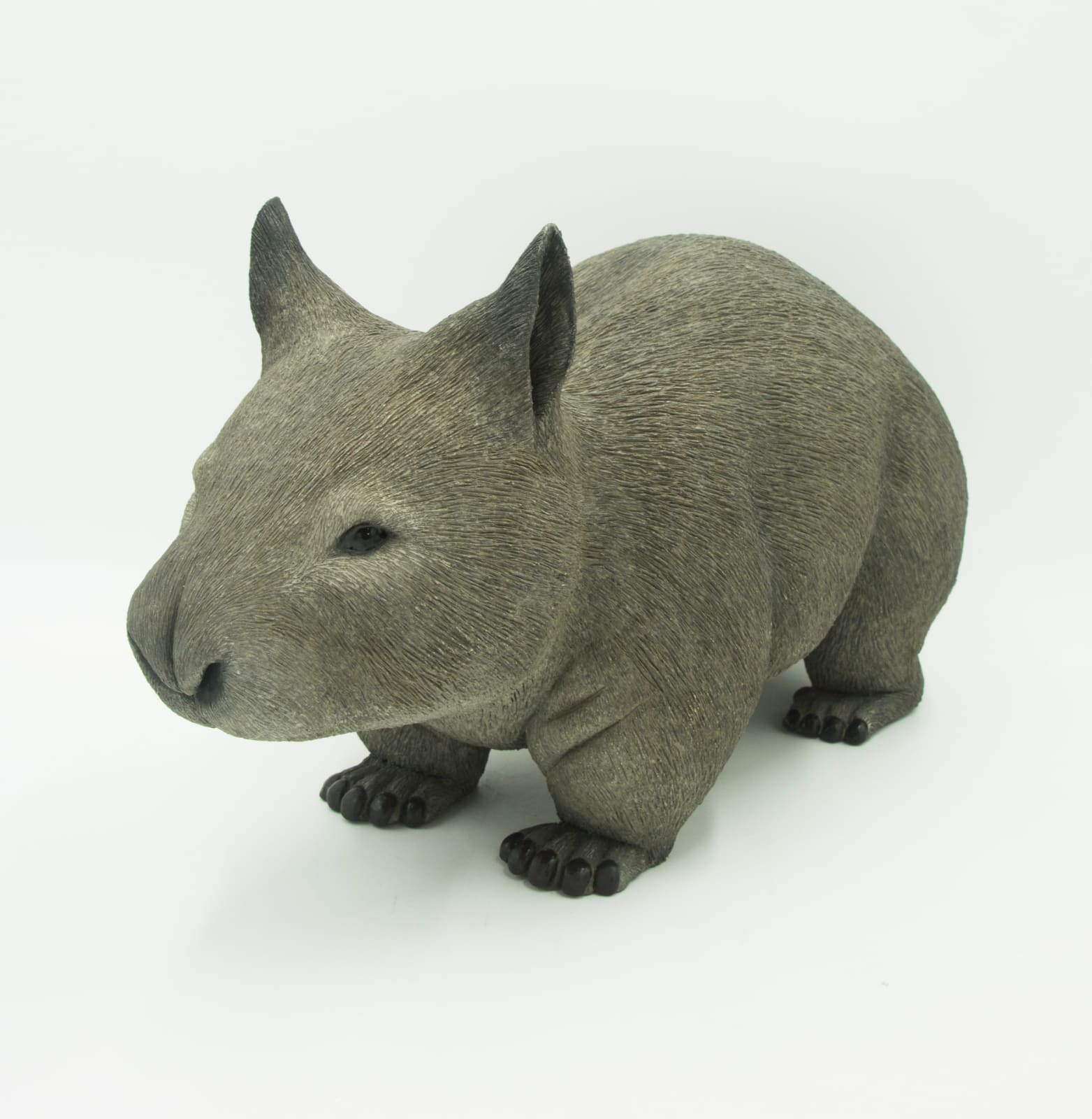 Matthew Edenbrow, Wombat