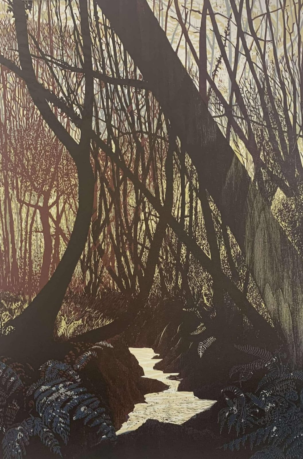 Pine Feroda, Thicket