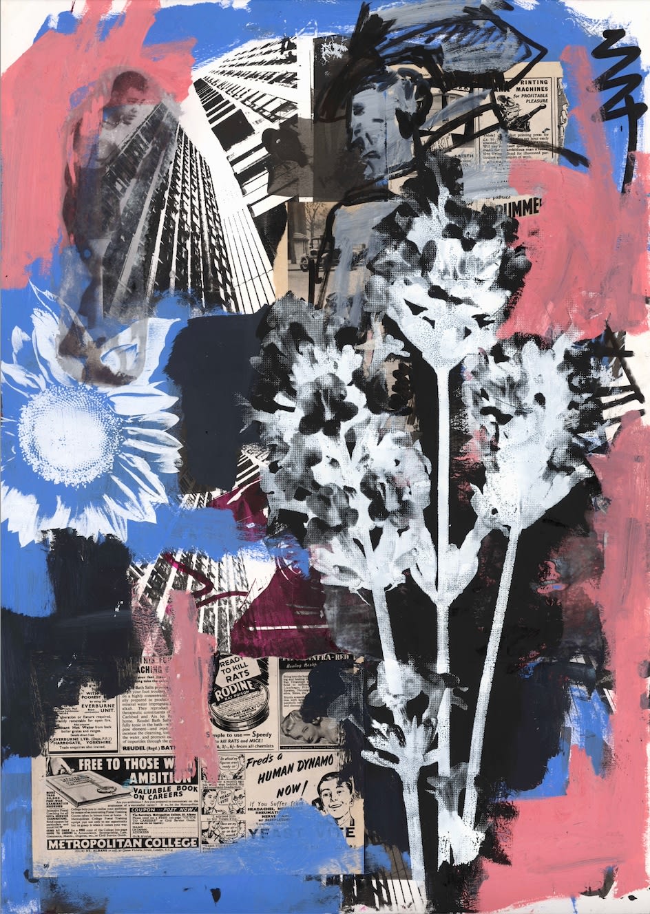 Caitlin Flood- Molyneux, The News