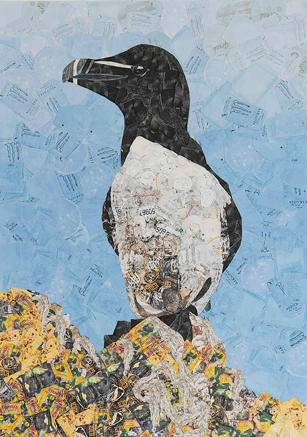Shaun Lowde, Razorbill