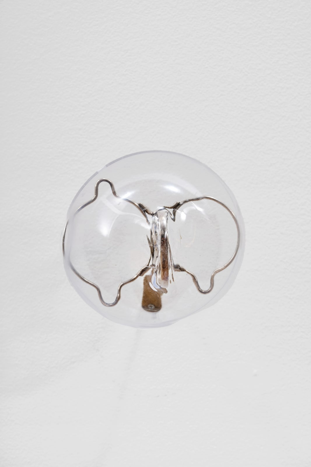 Jack O’Brien, Countenance, 2025