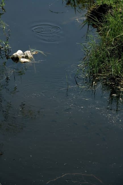 Roe Ethridge, As yet untitled, 2011